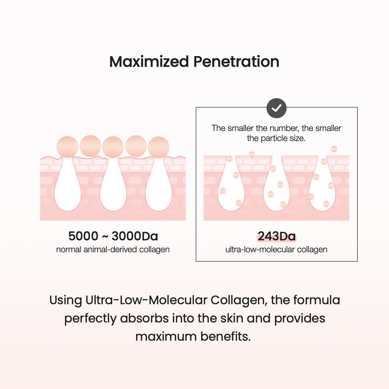 Pore Tightening Collagen Ampoule - Lumiso